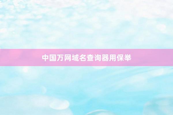 中国万网域名查询器用保举
