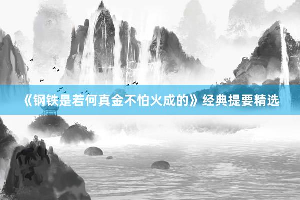 《钢铁是若何真金不怕火成的》经典提要精选