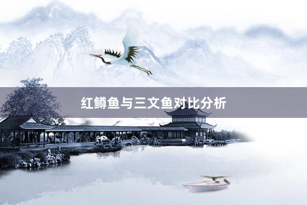 红鳟鱼与三文鱼对比分析